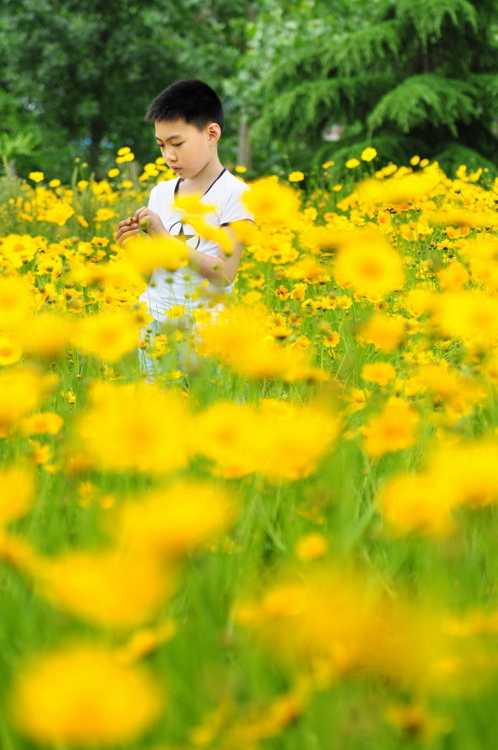 花儿与少年