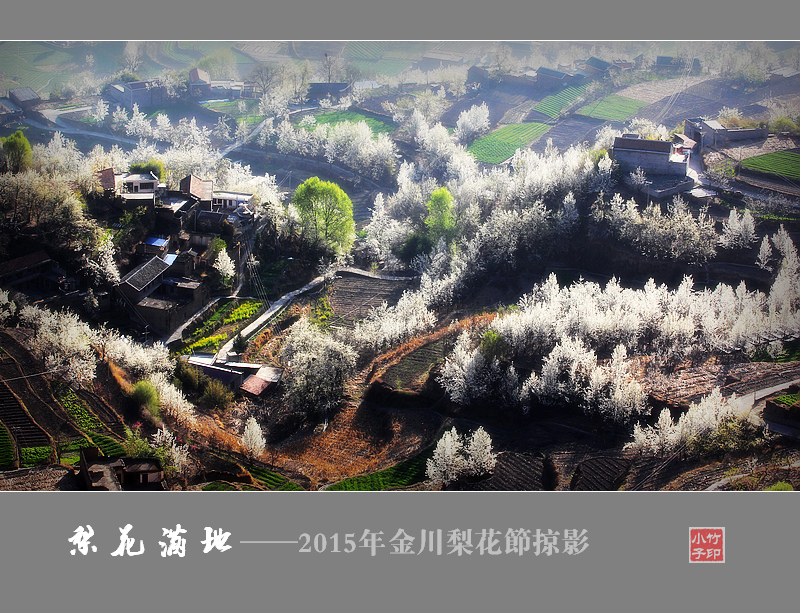 梨花满地——传说中的金川神仙包