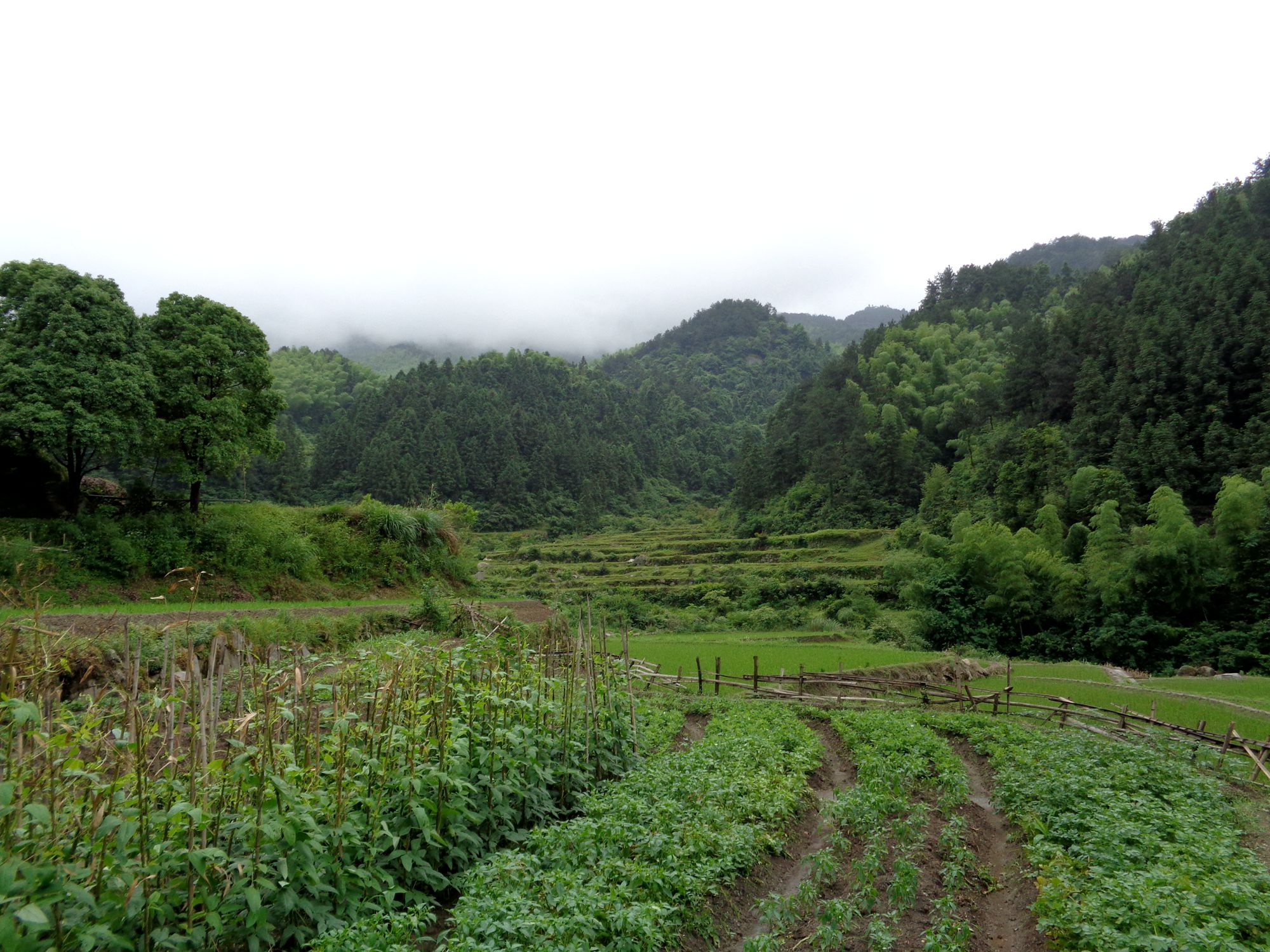 小山村安逸,俺喜欢