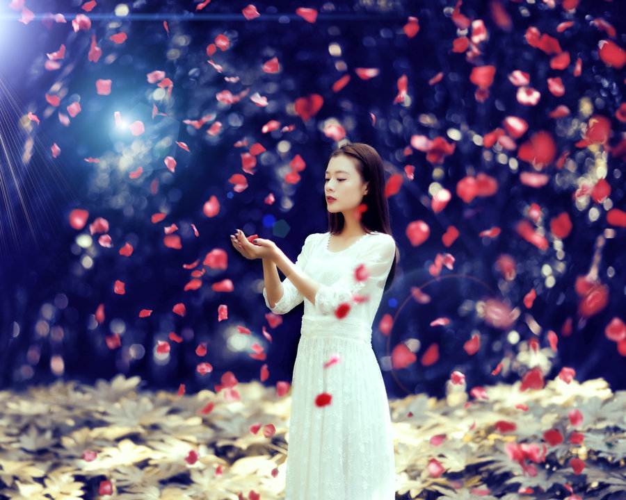 营造唯美梦幻的花瓣雨林.