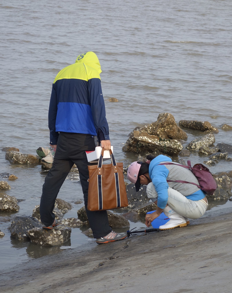 天津塘沽赶海拾贝公园印象