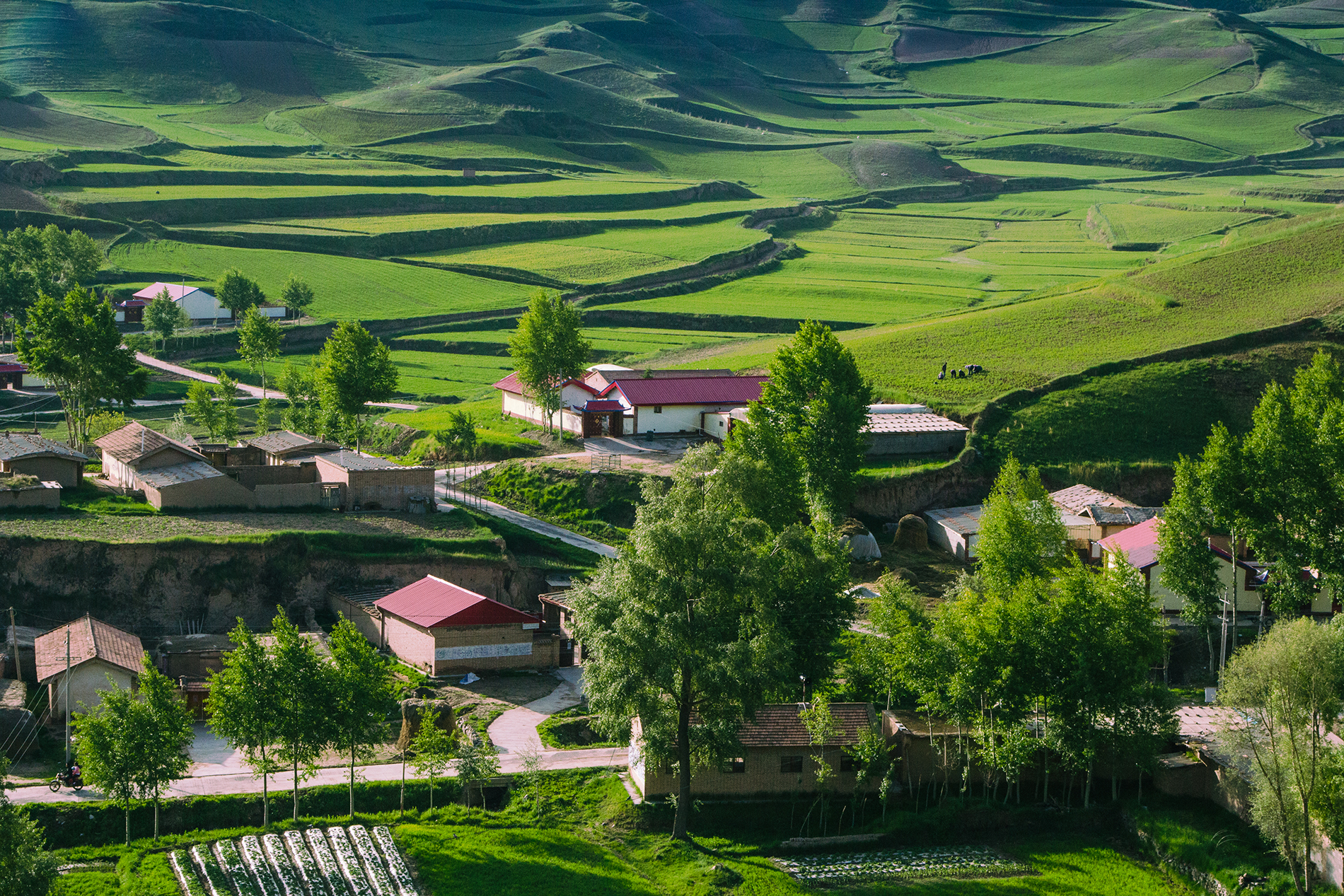 美丽山村