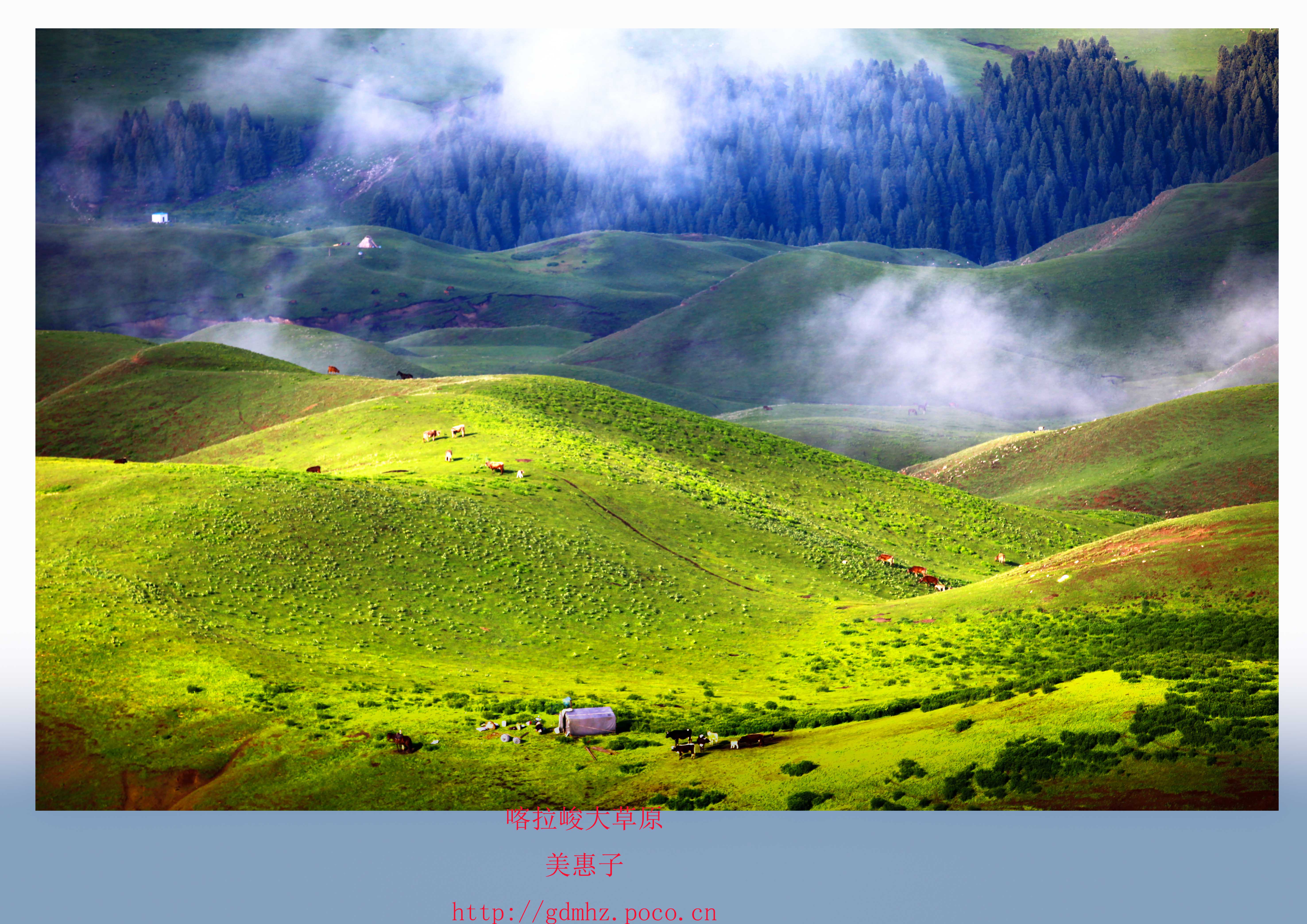 绝美新疆：那拉提草原上的风光 | 旅游文化