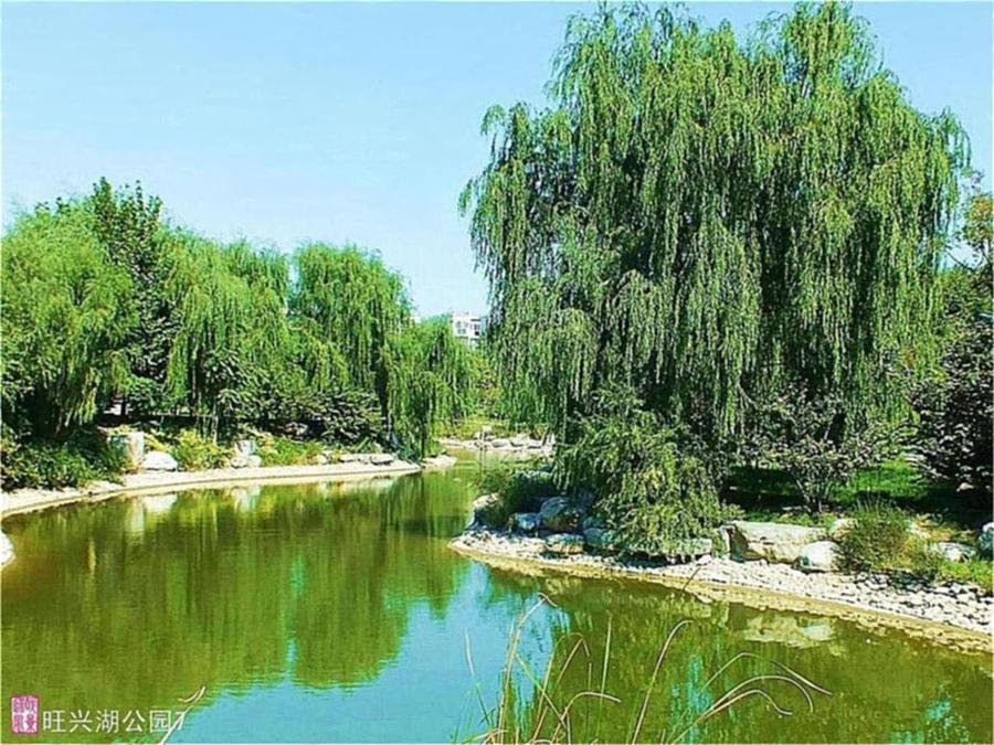 【北京的南郊3摄影图片】旺兴湖公园风光旅游摄影_网
