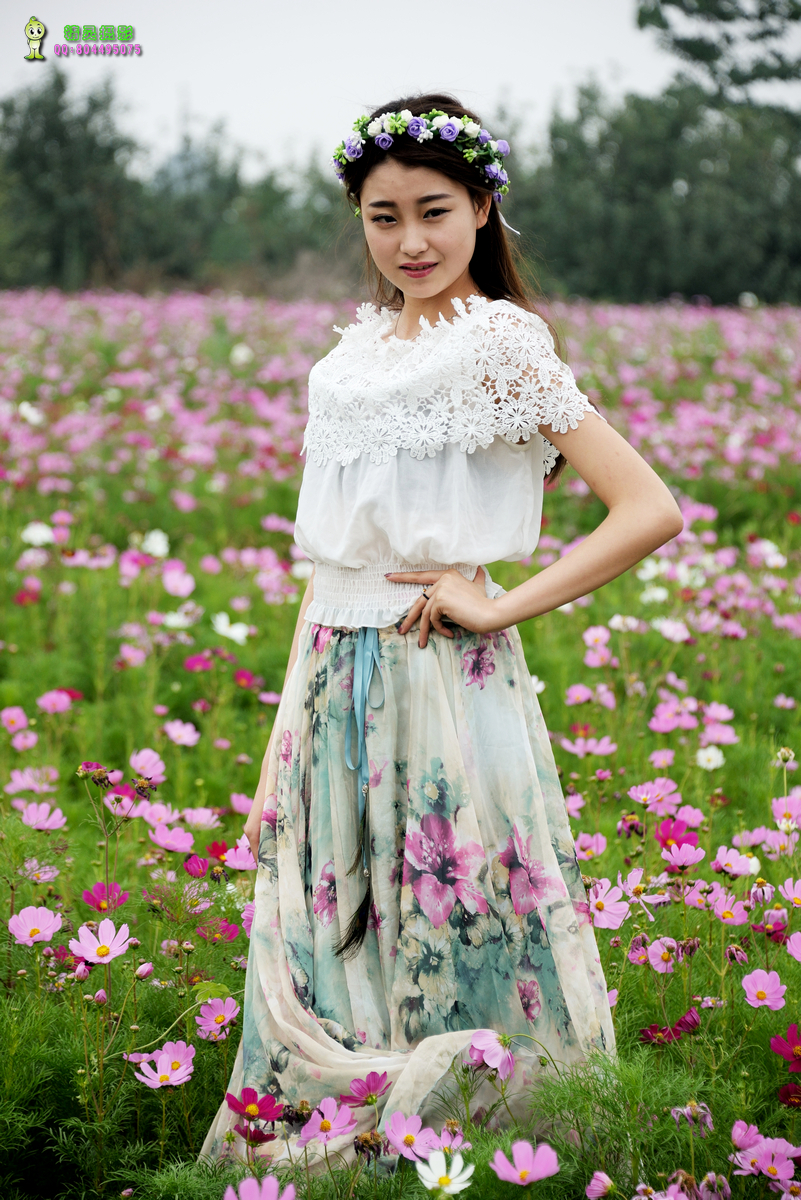 美丽的格桑花