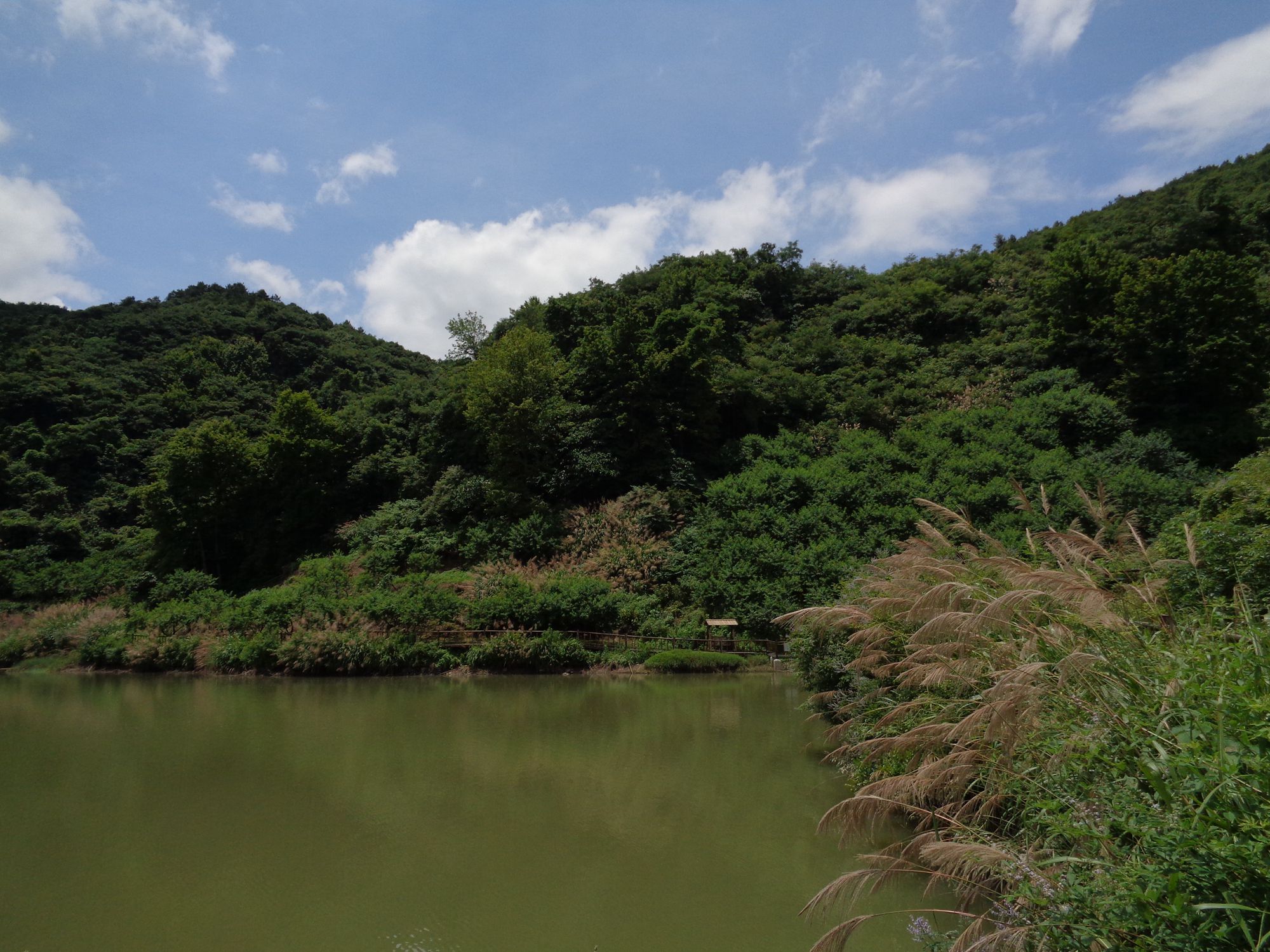 沼山村风光