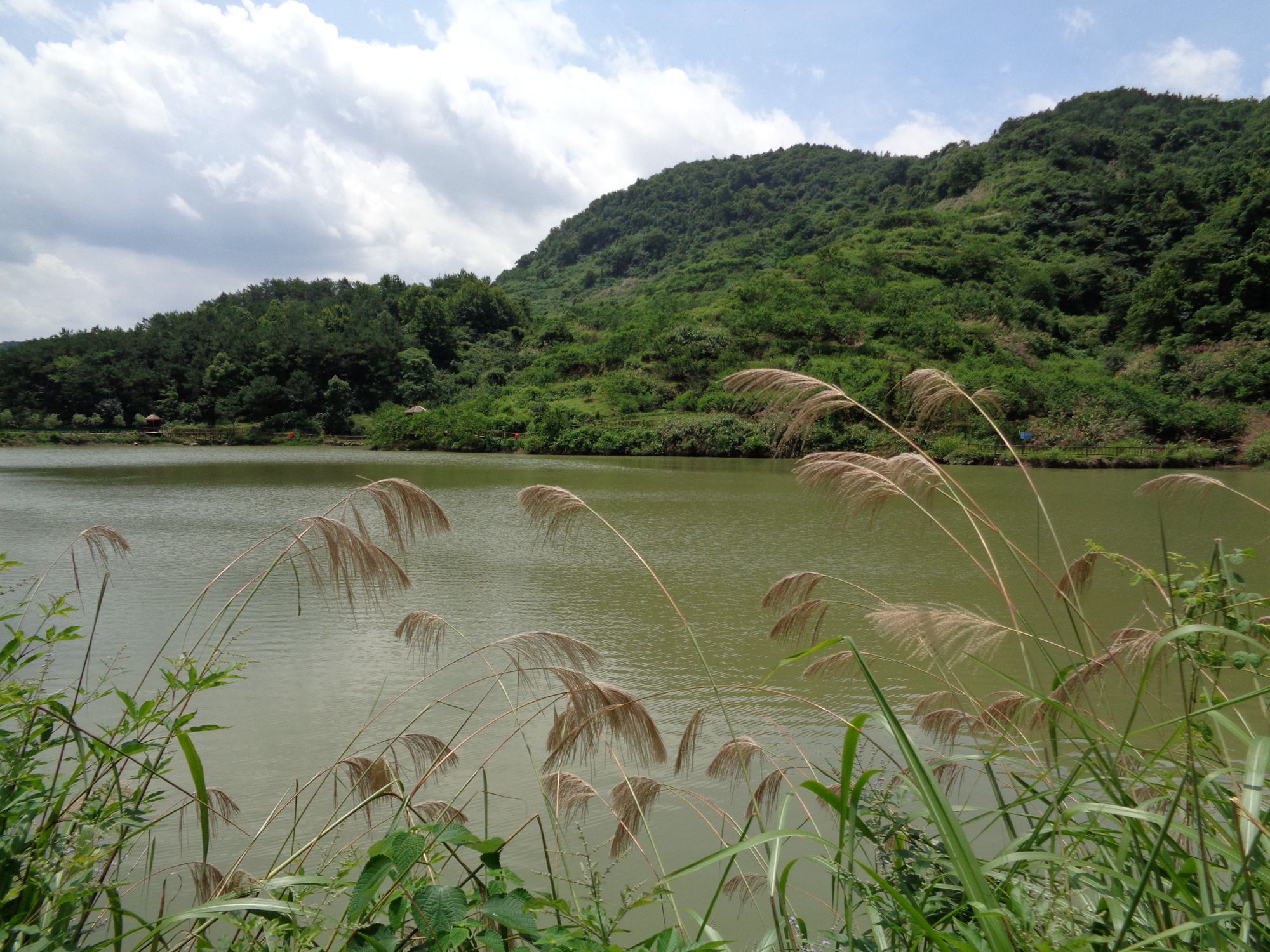 沼山村风光