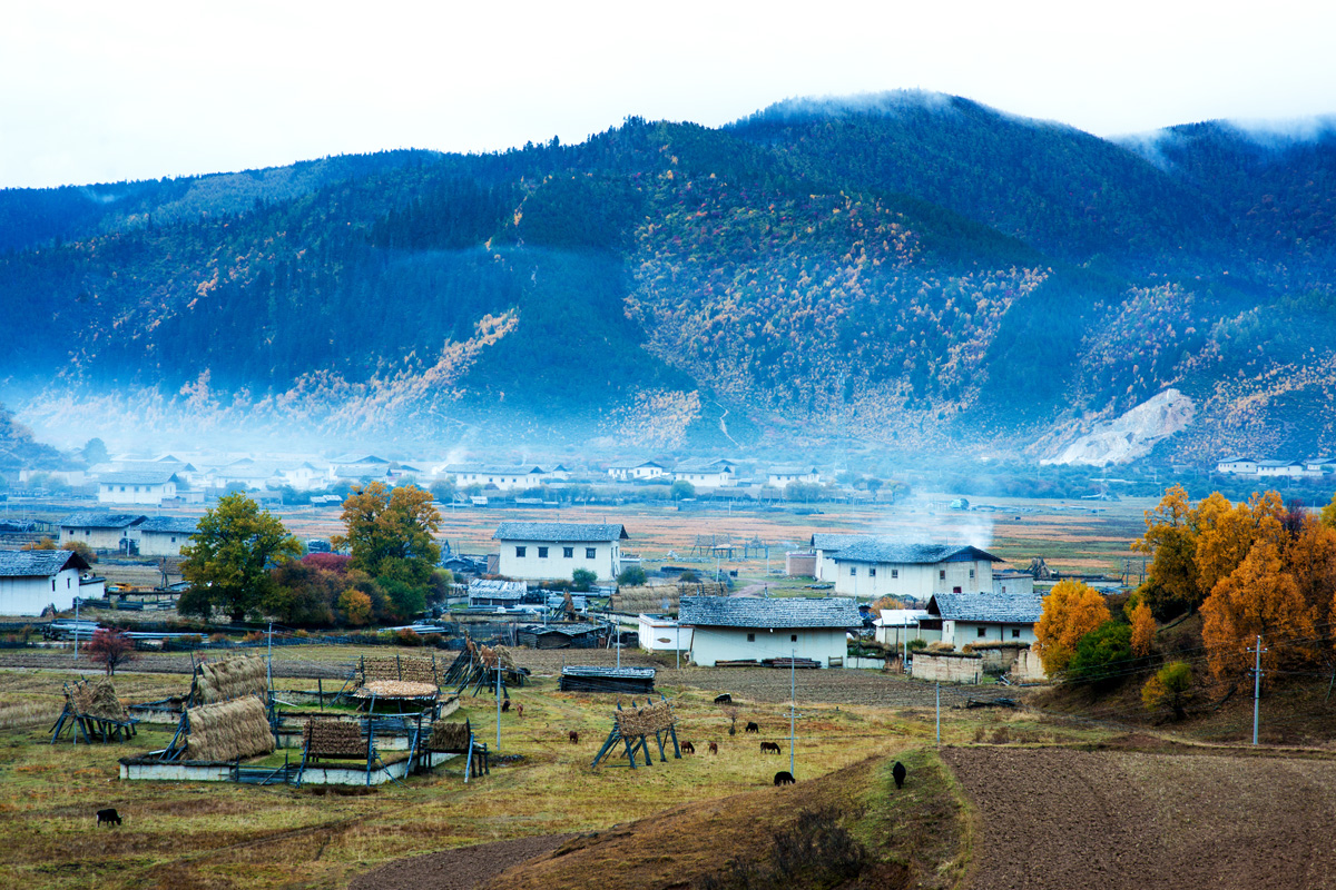 好景在路上