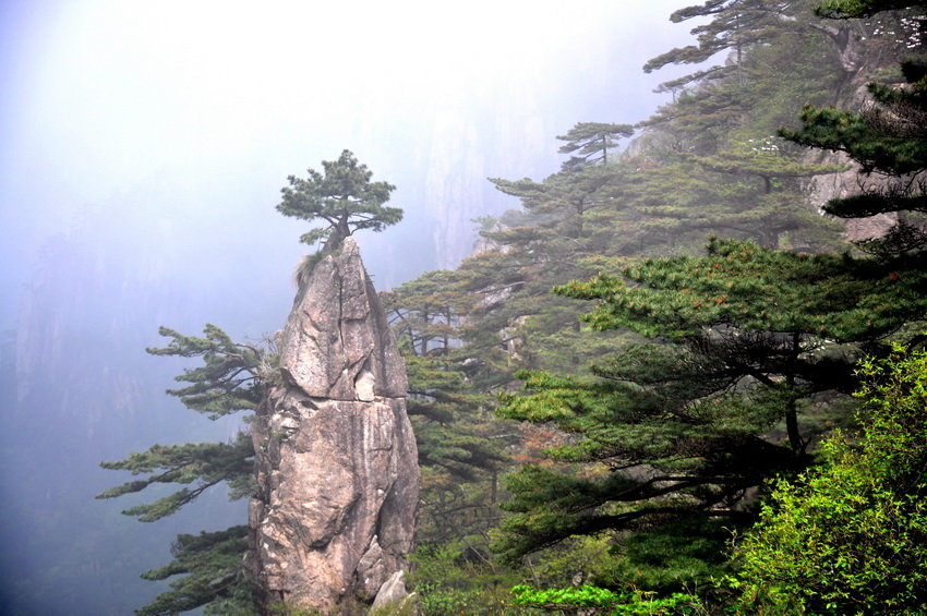 黄山风景(一)