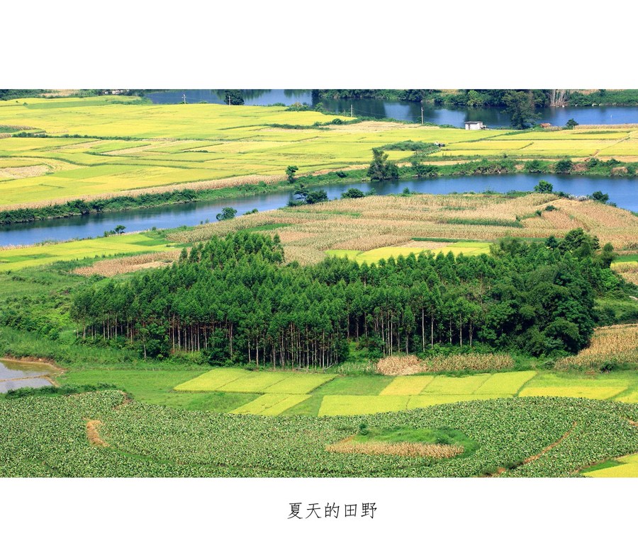【夏天的田野摄影图片】广西上林风光摄影_太平洋电脑