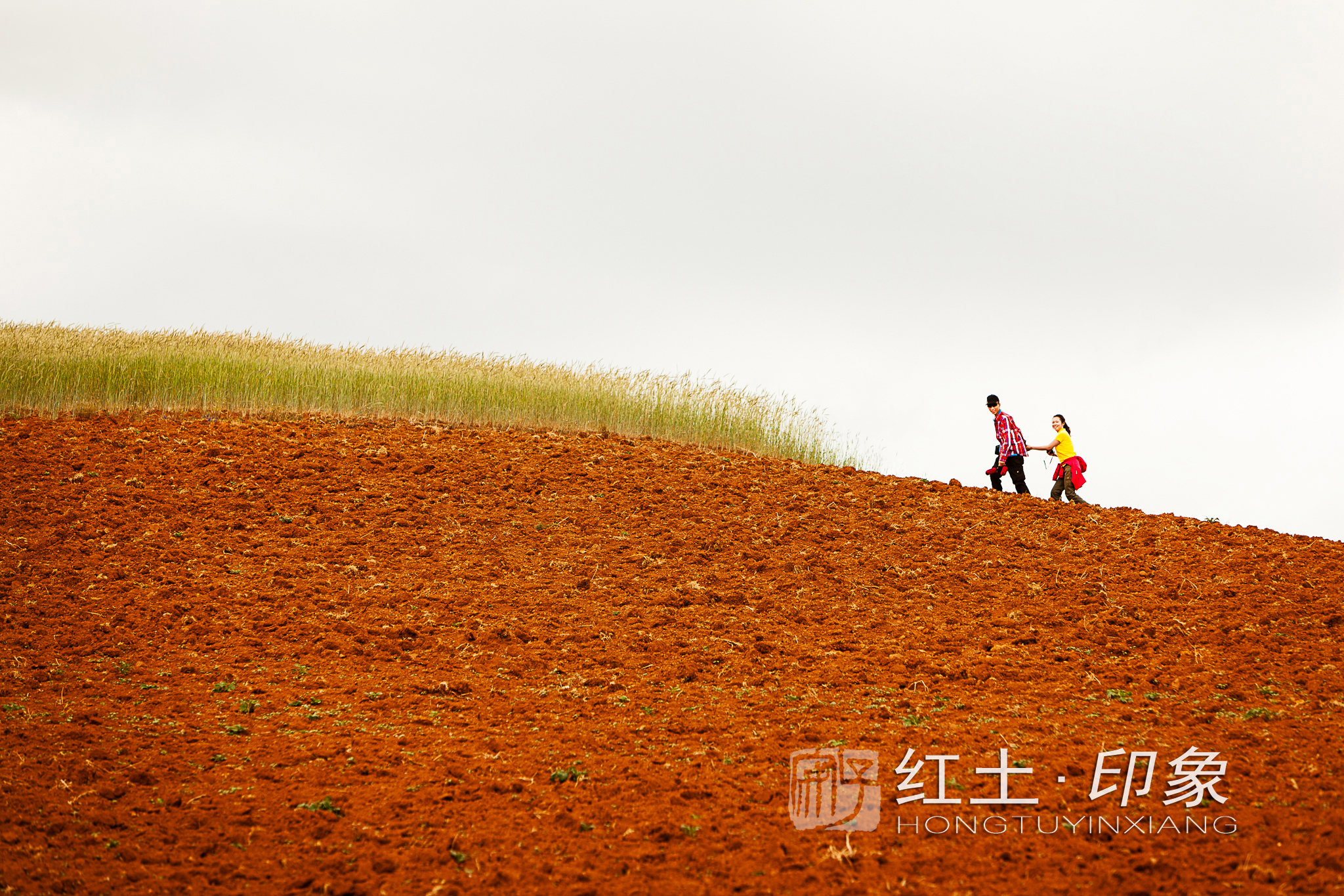 红土.印象