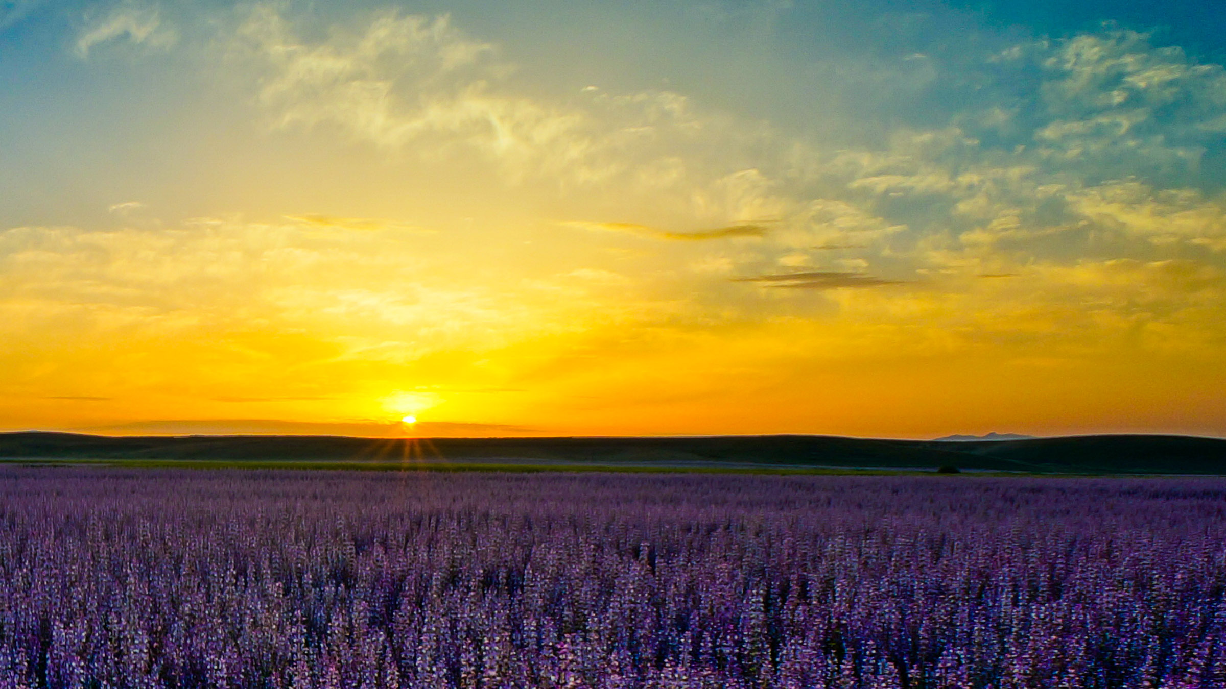 【草原的日出与日落（2014）摄影图片】风光摄影_老阿摄影_太平洋电脑网摄影部落