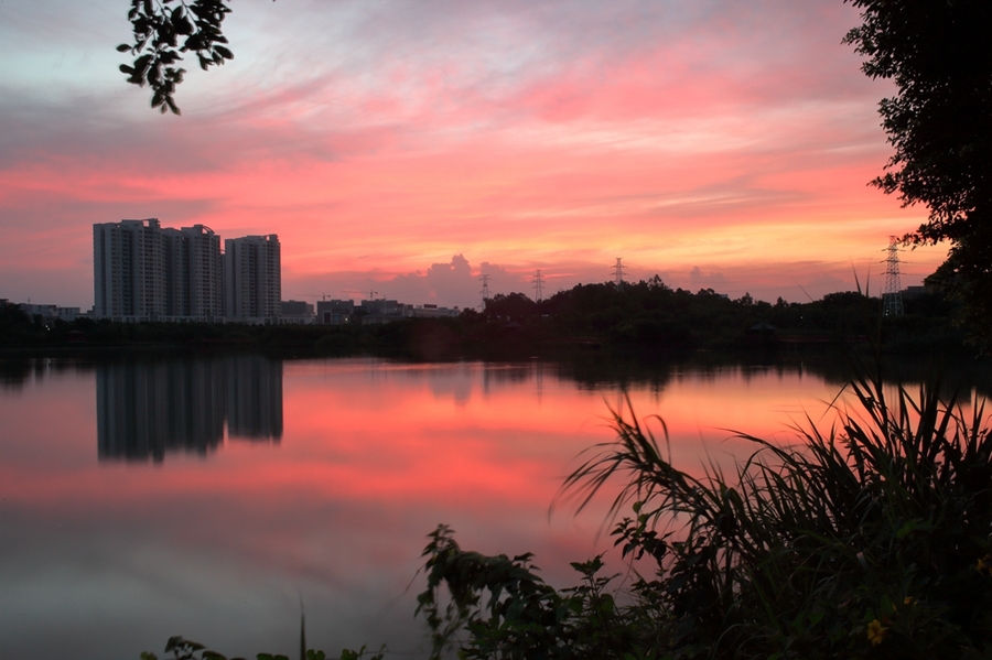 湖岸晨曦