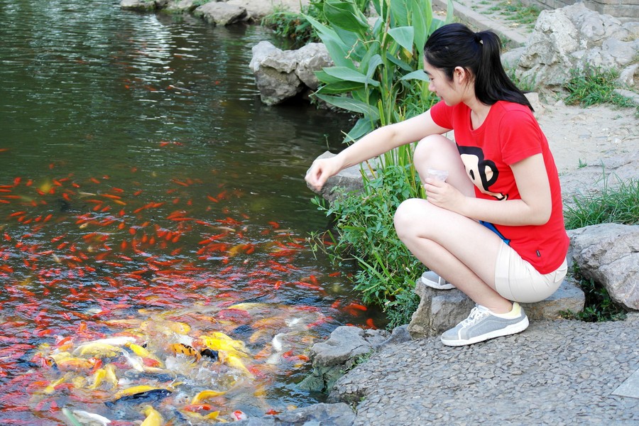 夏日里临池戏鱼的姑娘----色彩绚烂的女孩鱼水情境画面