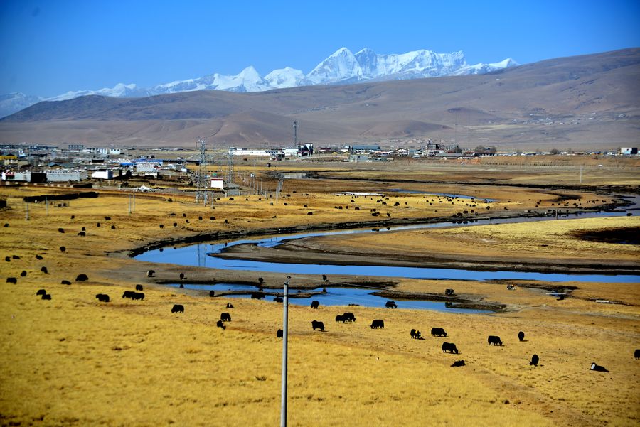 【神奇的可可西里无人区摄影图片】风光旅游摄