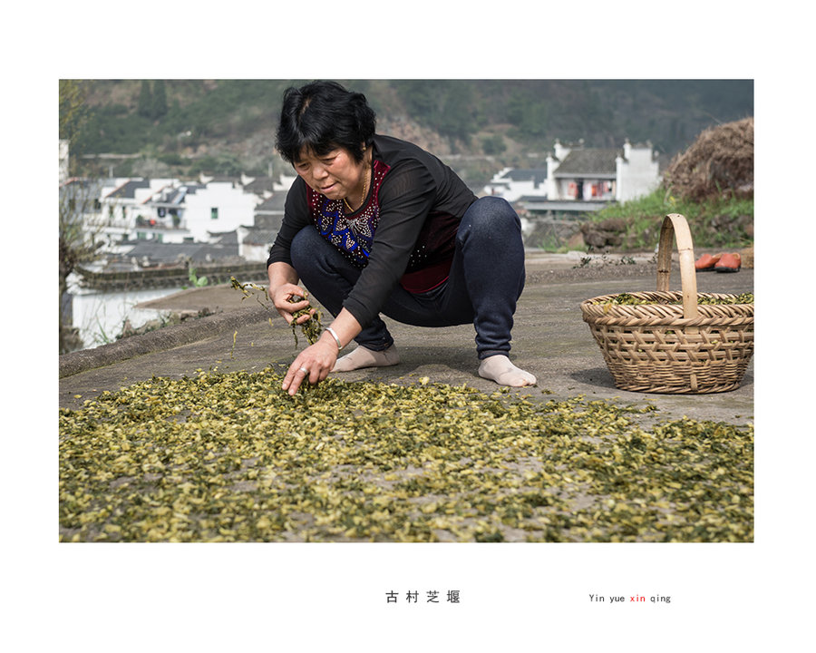 【古村芝堰摄影图片】浙江兰溪风光摄影_太平洋电脑网摄影部落