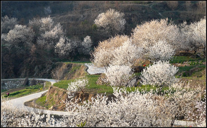 郧县-樱桃沟