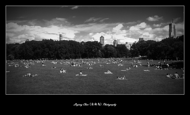 纽约中央公园的日光浴,一道景色
