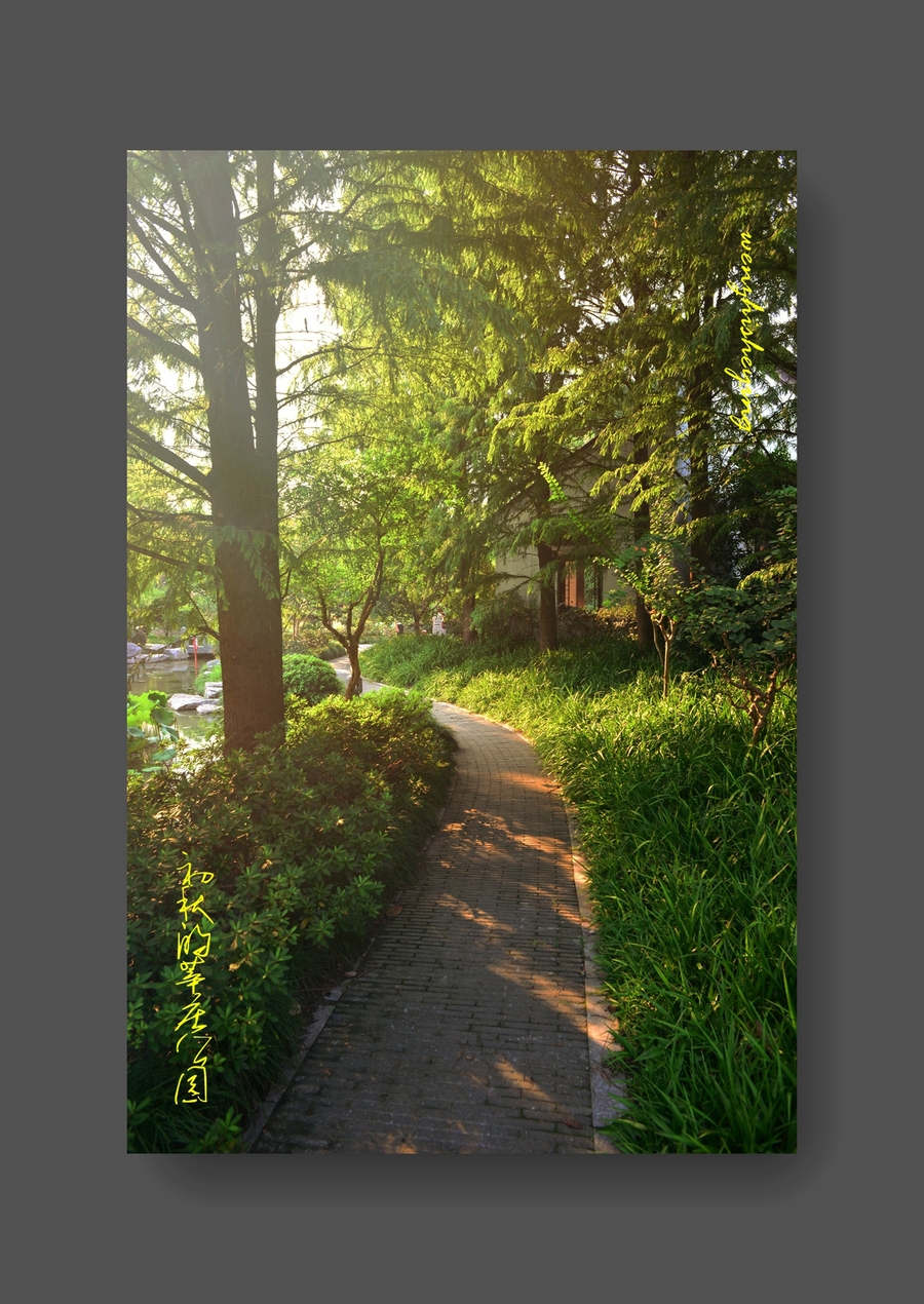夏未初秋公园风景