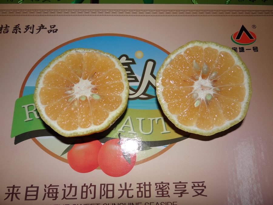 【稀有柑橘品种摄影图片】北京生态摄影