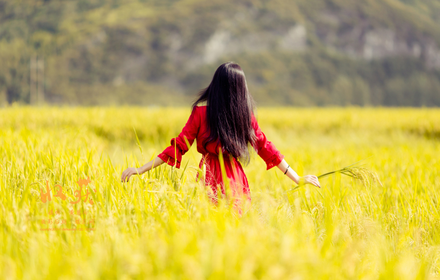 【收获的季节摄影图片】郴州平和稻田人像摄影