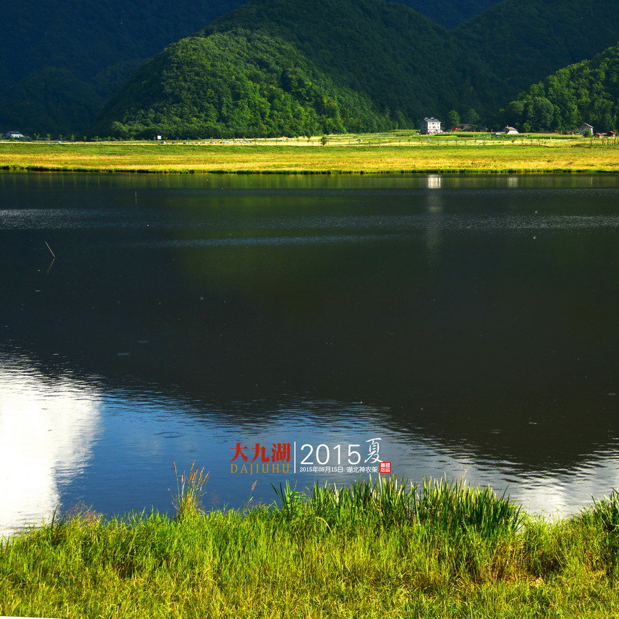 大九湖2015夏 (共p)