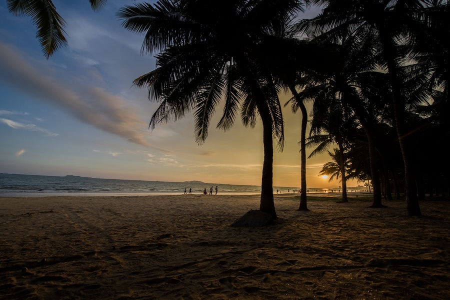 【美丽海南岛椰树摄影图片】海南岛三亚风光摄