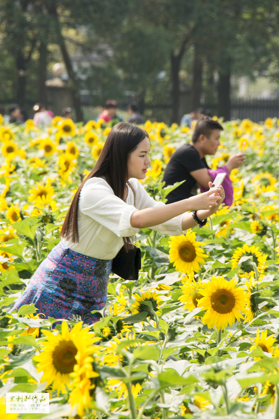 【浙江工商大学下沙校区摄影图片】风光旅游摄