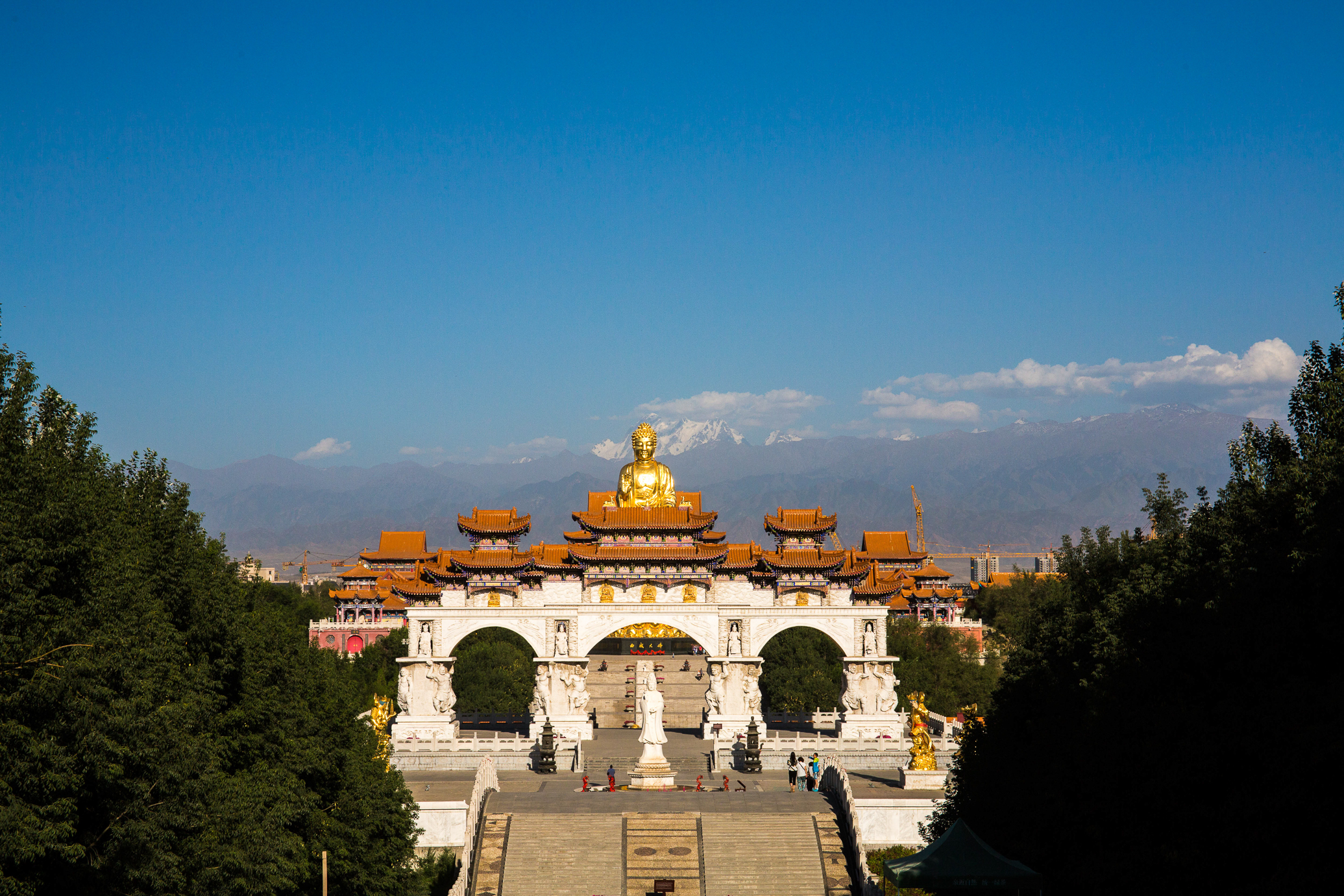 【红光山大佛寺(一)摄影图片】乌鲁木齐风光摄影_老树