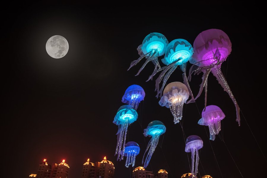 2015中国灯都(古镇)灯光文化节