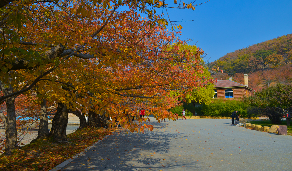 大连龙王塘水库及旅顺的秋色