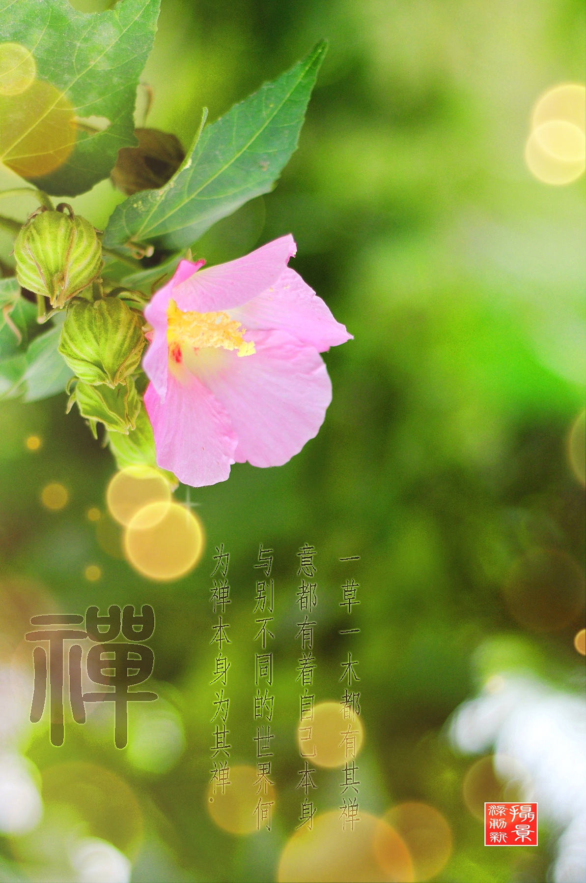 《禅意》