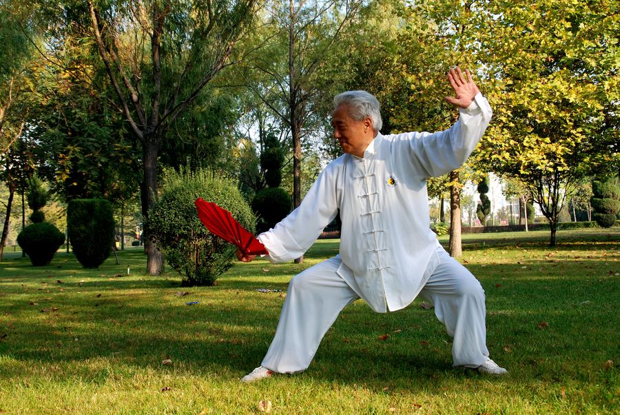 【《古稀老人的太极神功》摄影图片】生活摄影