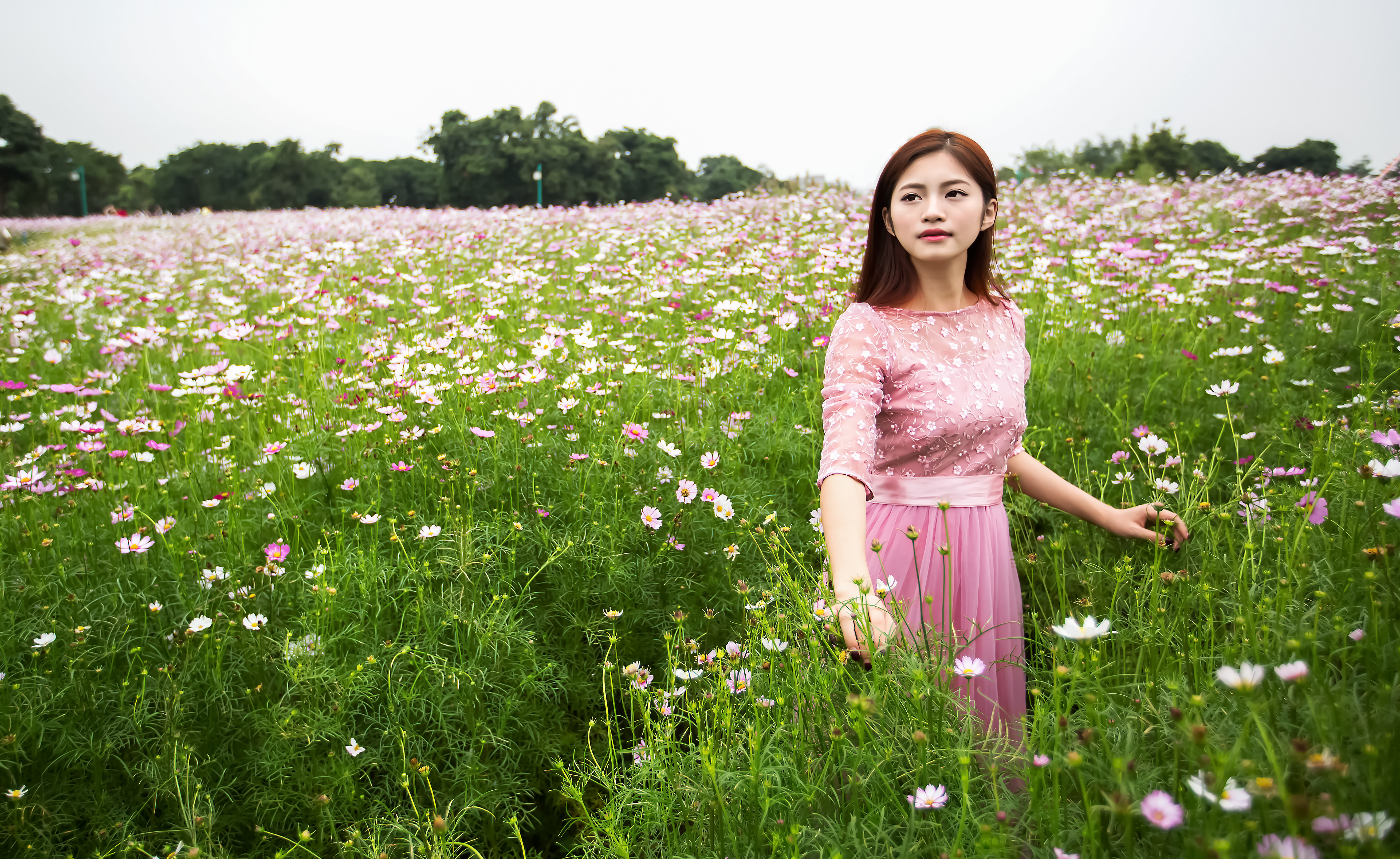 花中美女