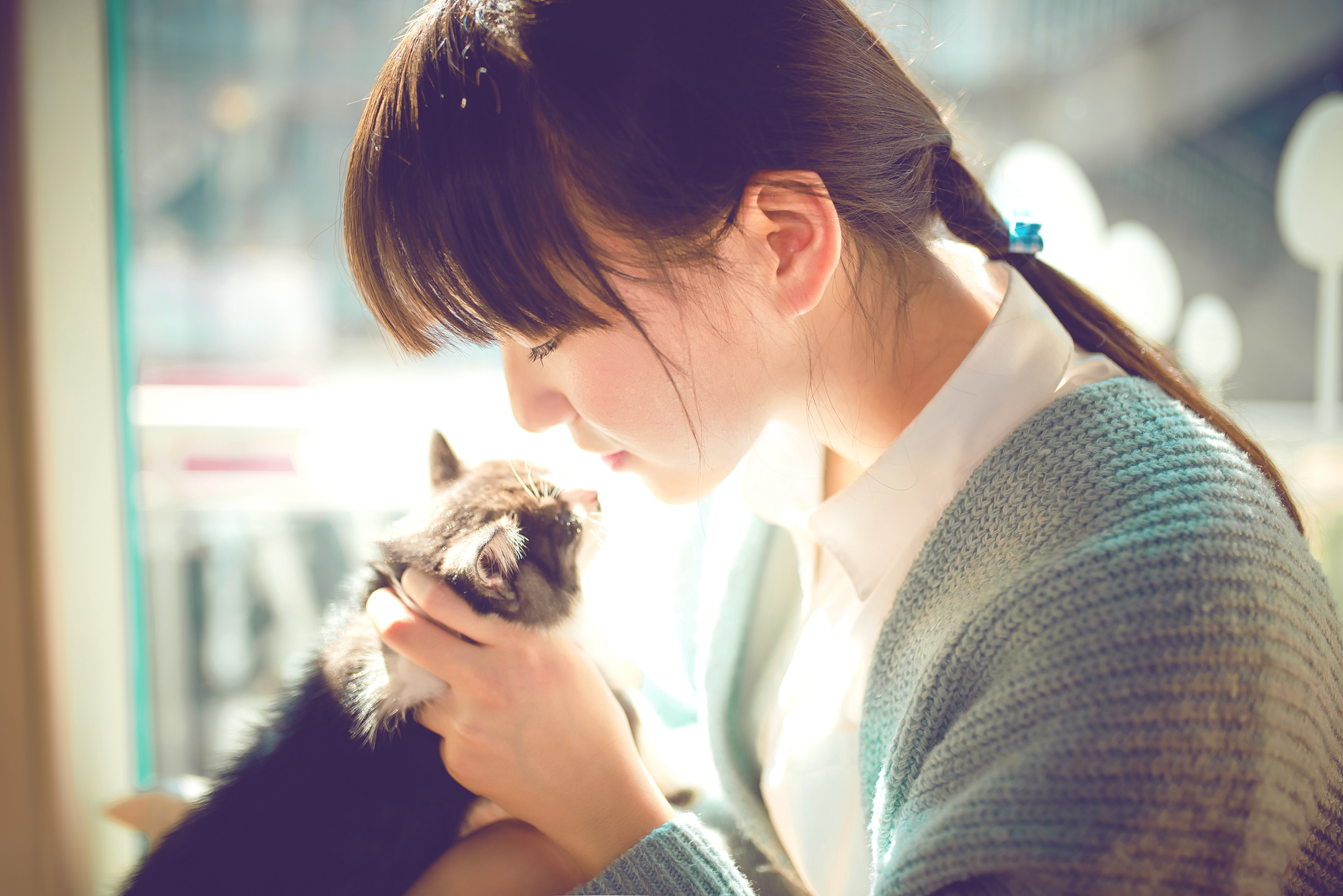 【少女与猫摄影图片】人像摄影_颜理翔_太平洋电脑网