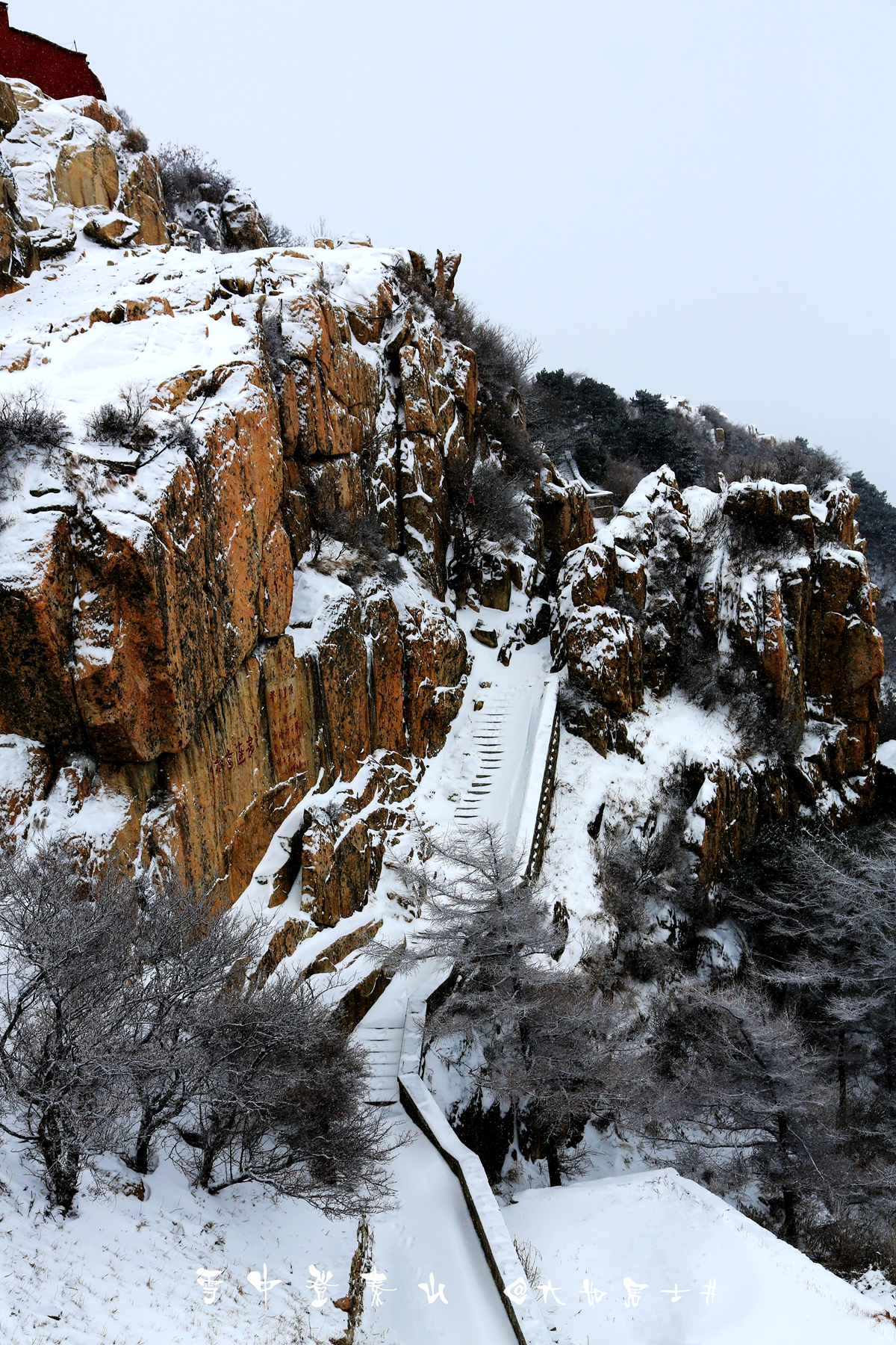 雪中登泰山