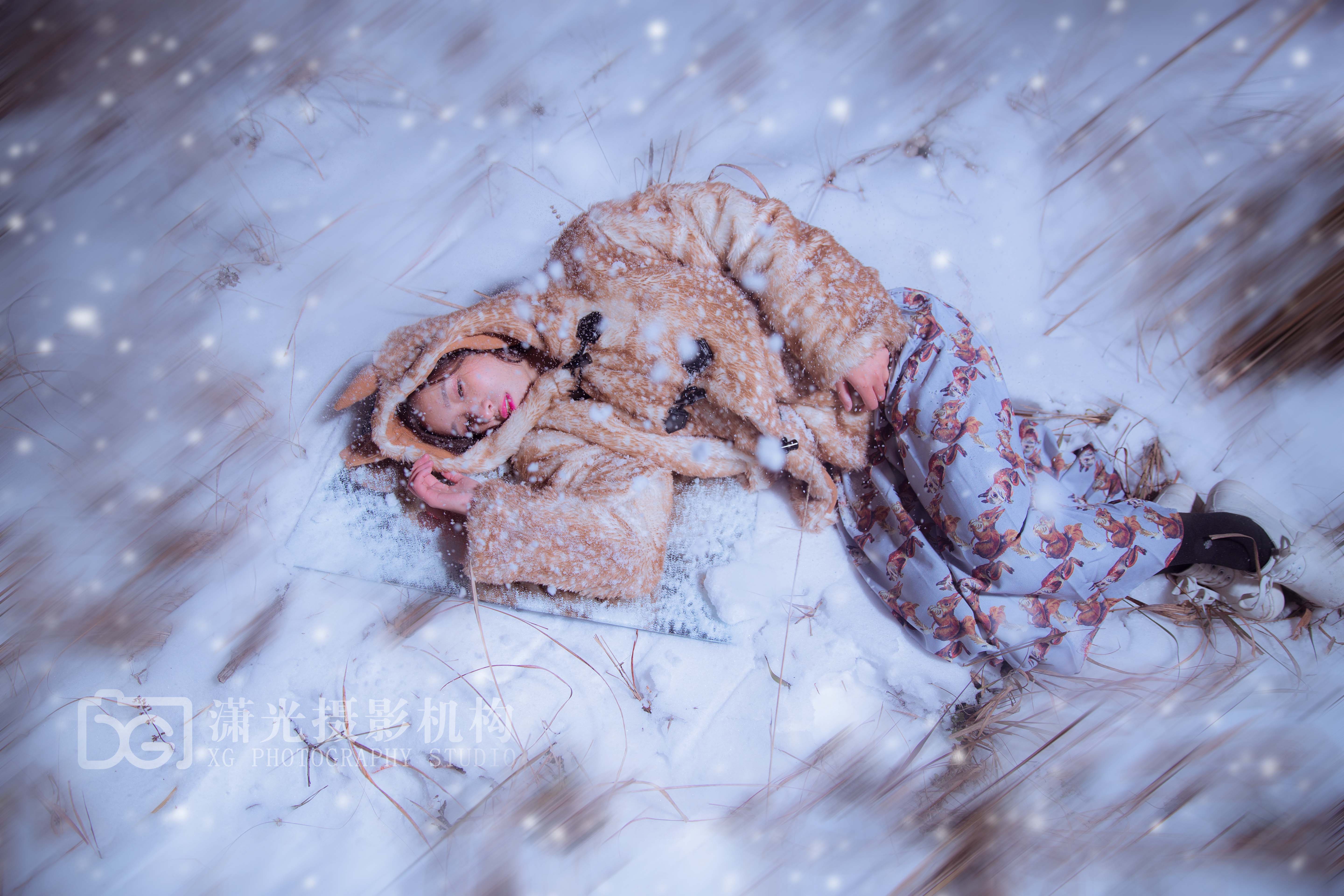 【潇光作品】雪中迷鹿