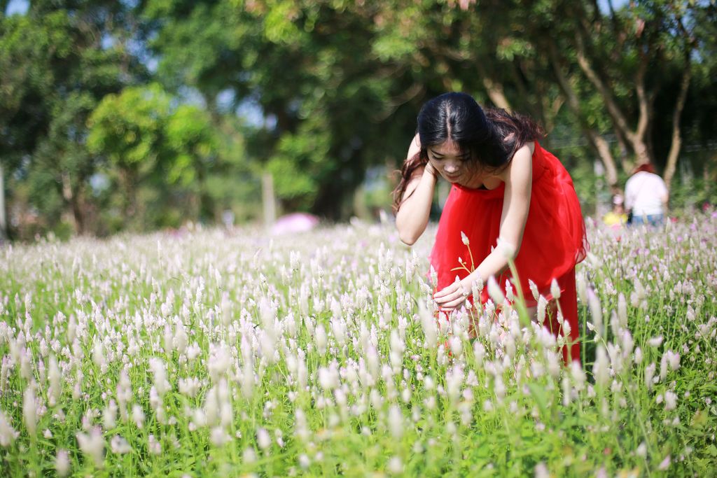 花丛中的女孩