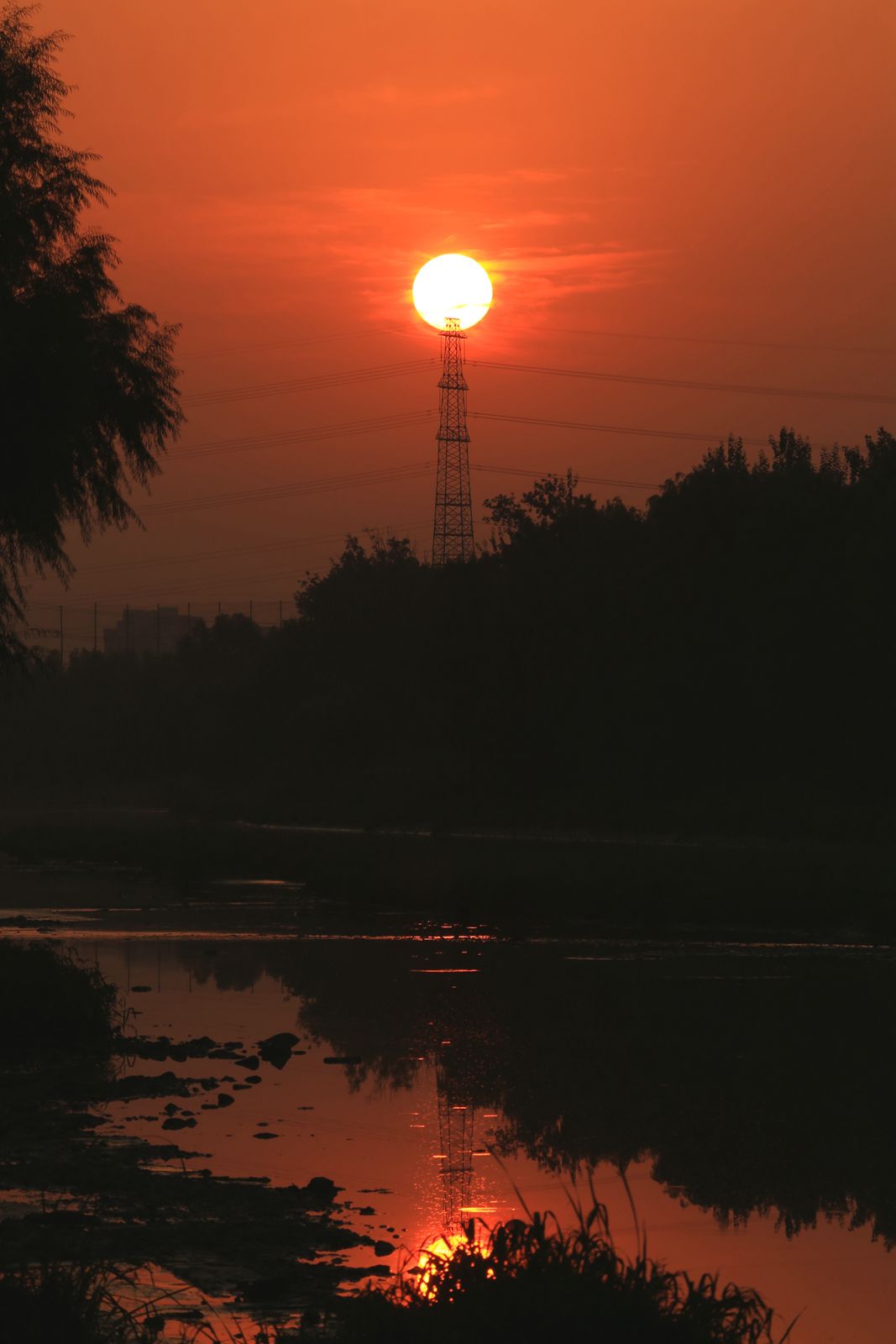 日出清河