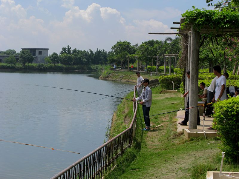 湛江风情之麻章区(志满)