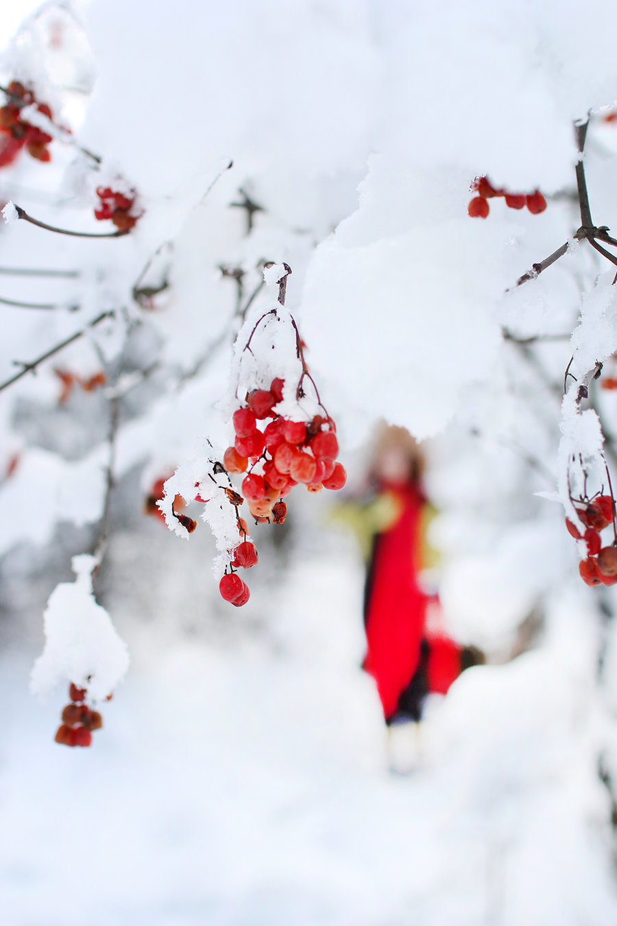 雪的印迹