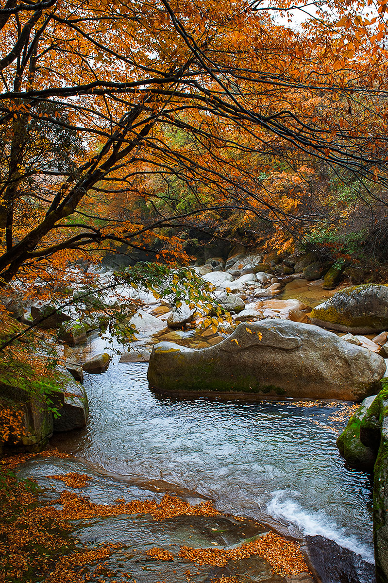 秋雨光雾山