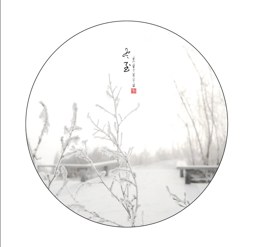 【冬至---霜雪摄影图片】生态摄影_kexi-_太平洋电脑网摄影部落