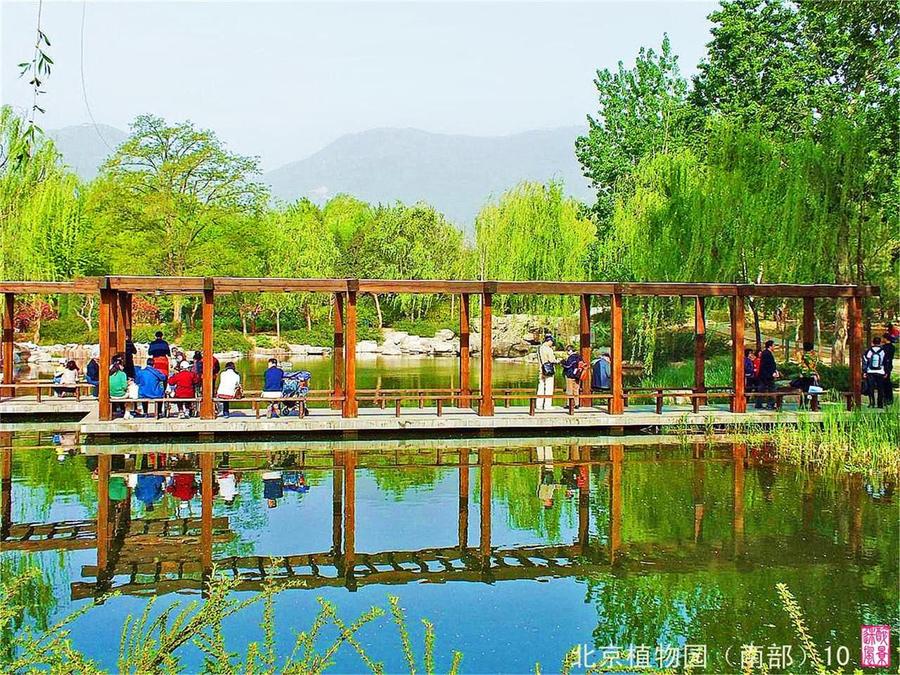 【北京植物园1摄影图片】北京植物园风光旅游摄影_太平洋电脑网摄影