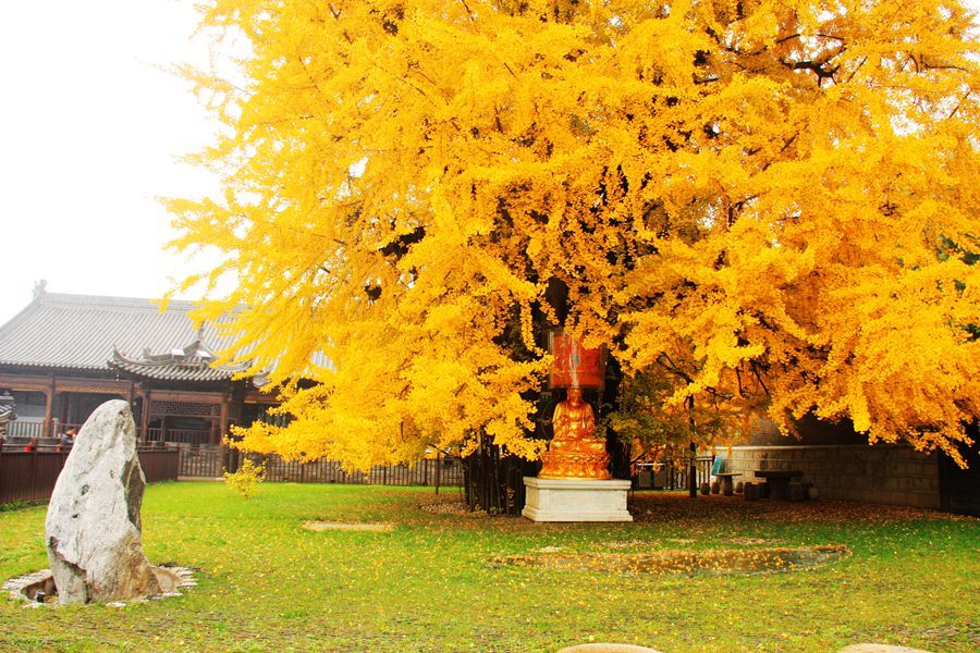 【古观音禅寺(陕西西安)摄影图片】陕西西安长