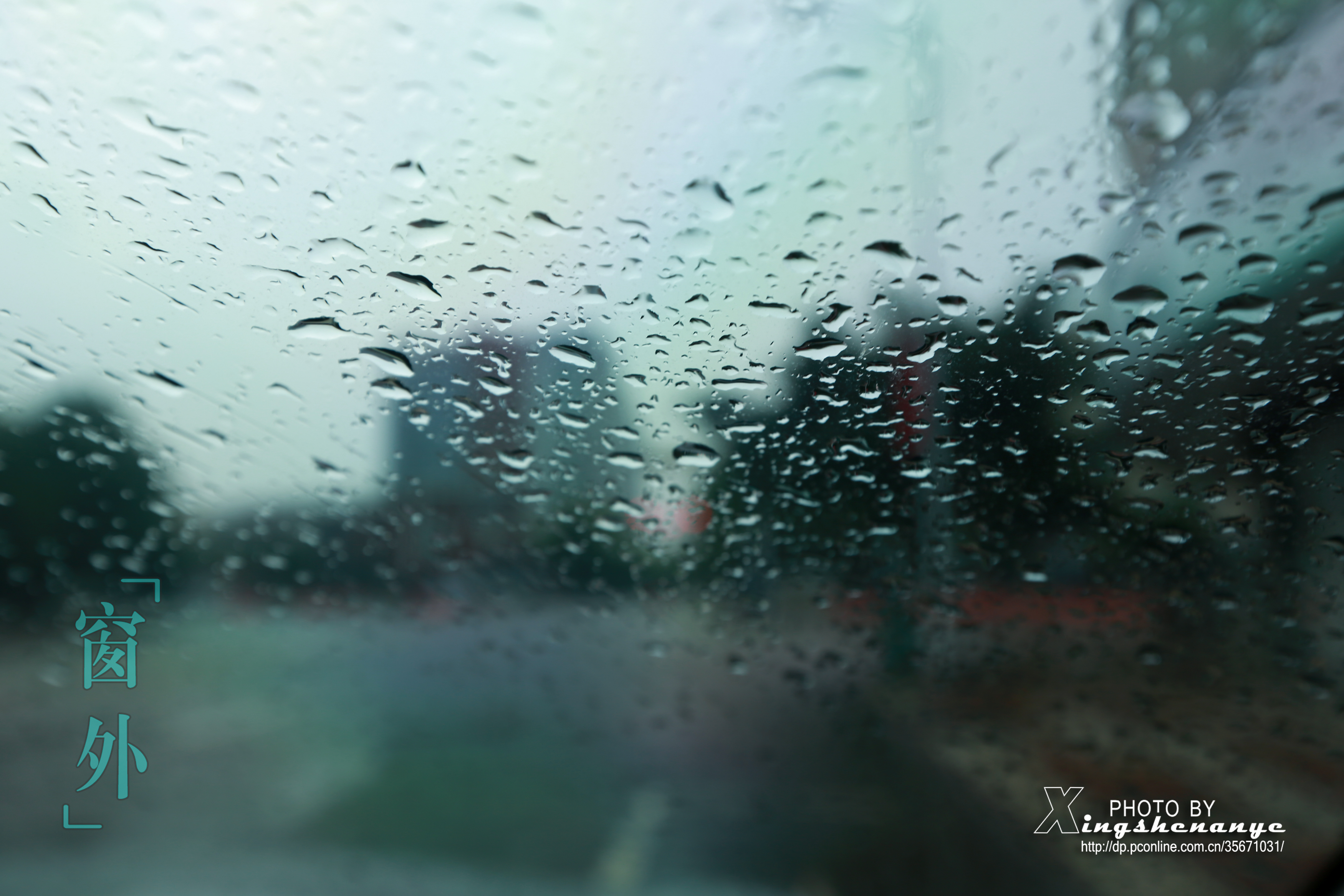 《 窗外细雨纷飞 》