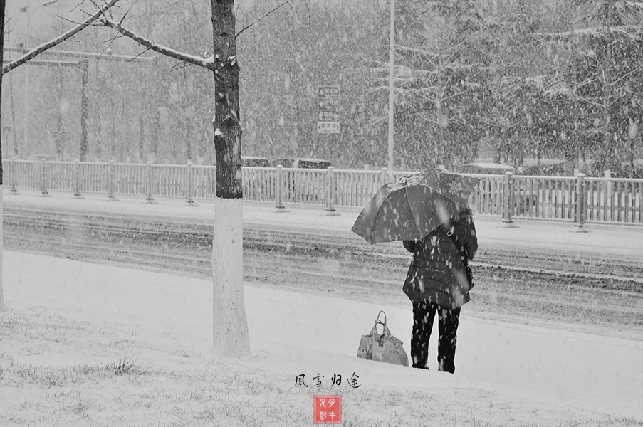 风雪归途