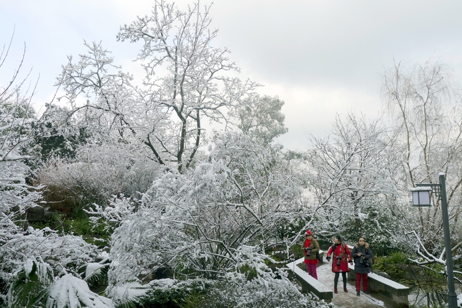 重庆照母山雪景 (6/14)