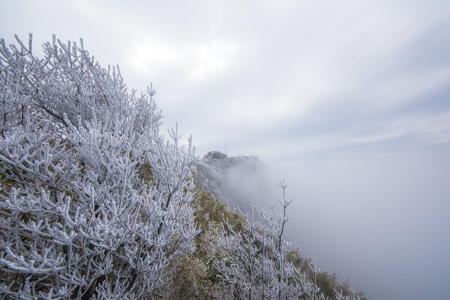 猫儿山 雪