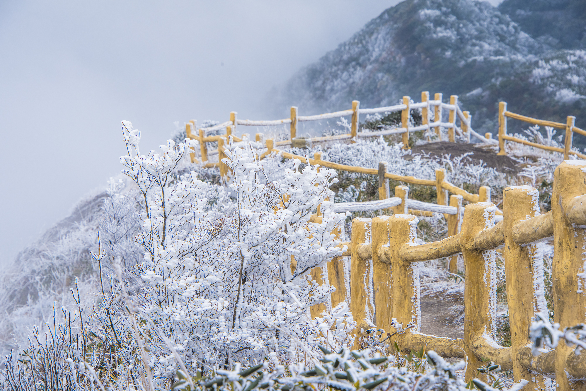 猫儿山 雪